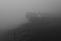 L1001403 - Bernhard Saalfeld