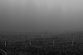 L1001404 - Bernhard Saalfeld