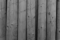 L1001405 - Bernhard Saalfeld