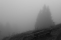 L1001410 - Bernhard Saalfeld