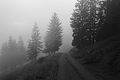L1001411 - Bernhard Saalfeld