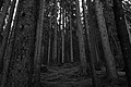 L1001415 - Bernhard Saalfeld