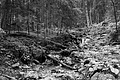 L1001417 - Bernhard Saalfeld