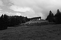 L1001421 - Bernhard Saalfeld