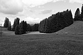 L1001423 - Bernhard Saalfeld