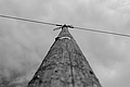 L1001424 - Bernhard Saalfeld