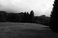 L1001425 - Bernhard Saalfeld