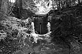 L1001427 - Bernhard Saalfeld