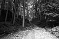 L1001445 - Bernhard Saalfeld