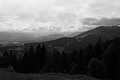 L1001454 - Bernhard Saalfeld