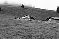 L1001455 - Bernhard Saalfeld