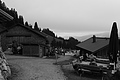 L1001458 - Bernhard Saalfeld