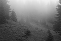 L1001459 - Bernhard Saalfeld