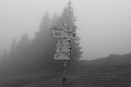 L1001460 - Bernhard Saalfeld