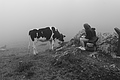 L1001463 - Bernhard Saalfeld