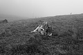 L1001465 - Bernhard Saalfeld