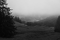 L1001469 - Bernhard Saalfeld