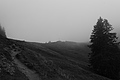 L1001470 - Bernhard Saalfeld