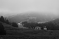 L1001471 - Bernhard Saalfeld