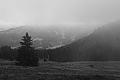 L1001473 - Bernhard Saalfeld