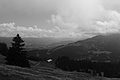 L1001475 - Bernhard Saalfeld