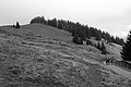 L1001476 - Bernhard Saalfeld