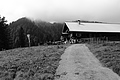 L1001479 - Bernhard Saalfeld
