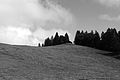 L1001480 - Bernhard Saalfeld