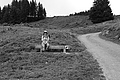 L1001483 - Bernhard Saalfeld