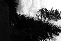 L1001487 - Bernhard Saalfeld
