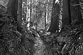 L1001488 - Bernhard Saalfeld