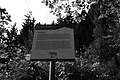 L1001489 - Bernhard Saalfeld
