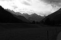 L1001497 - Bernhard Saalfeld