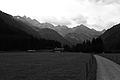 L1001499 - Bernhard Saalfeld