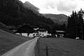 L1001502 - Bernhard Saalfeld