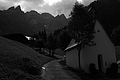 L1001505 - Bernhard Saalfeld