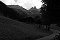 L1001509 - Bernhard Saalfeld
