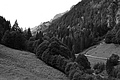 L1001520 - Bernhard Saalfeld