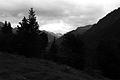L1001531 - Bernhard Saalfeld