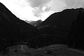 L1001532 - Bernhard Saalfeld