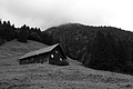 L1001534 - Bernhard Saalfeld
