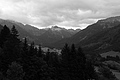 L1001535 - Bernhard Saalfeld