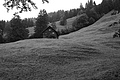 L1001536 - Bernhard Saalfeld
