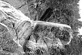 L1001540 - Bernhard Saalfeld