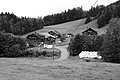 L1001553 - Bernhard Saalfeld