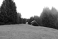 L1001561 - Bernhard Saalfeld