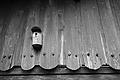 L1001564 - Bernhard Saalfeld