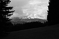 L1001571 - Bernhard Saalfeld