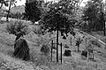 L1001577 - Bernhard Saalfeld