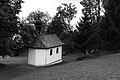 L1001583 - Bernhard Saalfeld